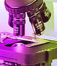 microscopes